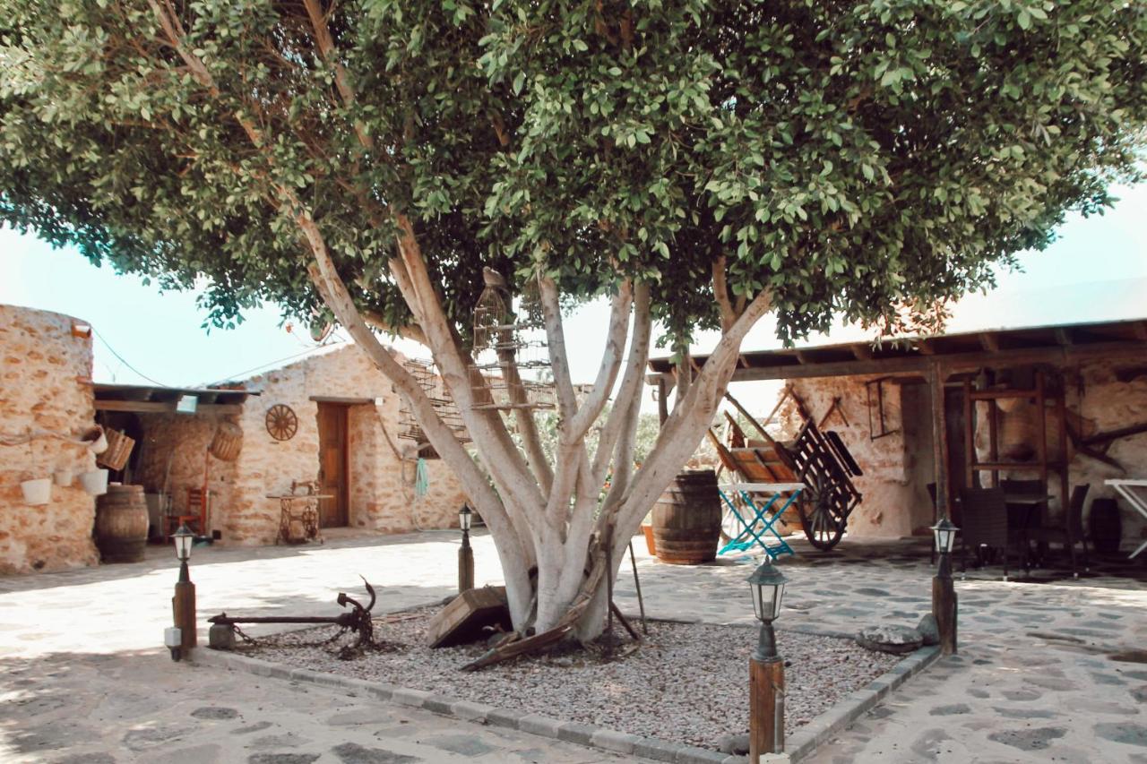 Agroturismo La Gayria Tiscamanita 외부 사진