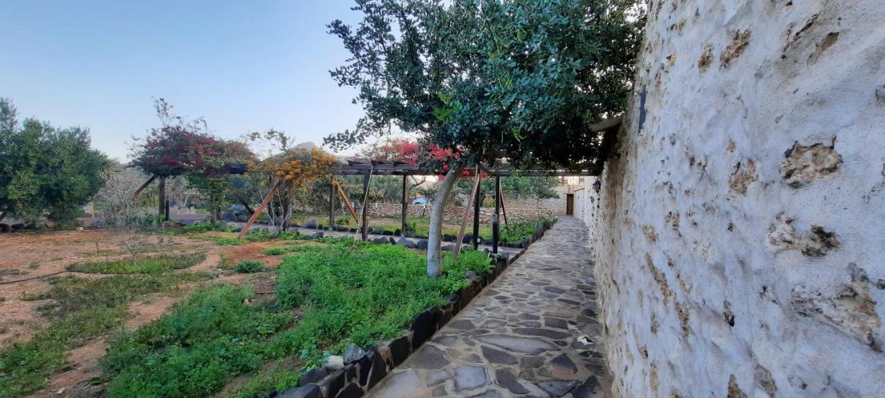 Agroturismo La Gayria Tiscamanita 외부 사진