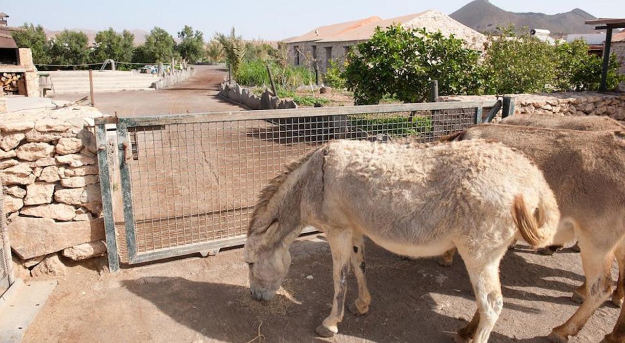 Agroturismo La Gayria Tiscamanita 외부 사진